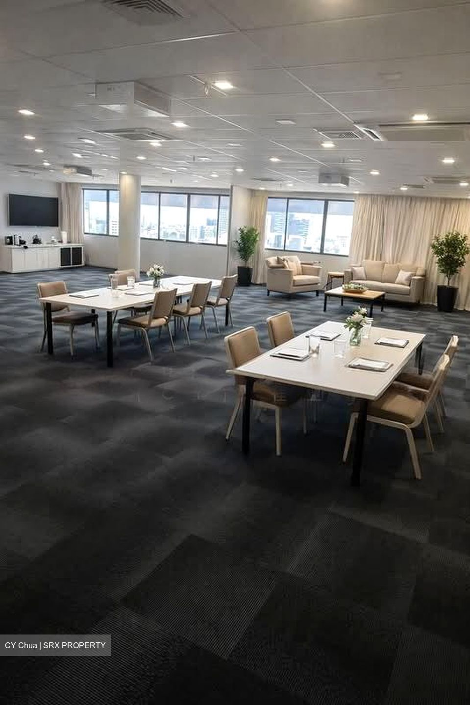 Sim Lim Tower (D8), Office #539419131